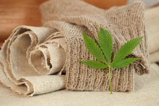 jute vs hemp