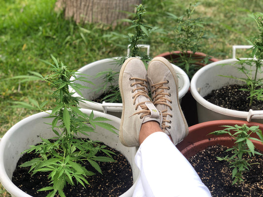 organic hemp shoes